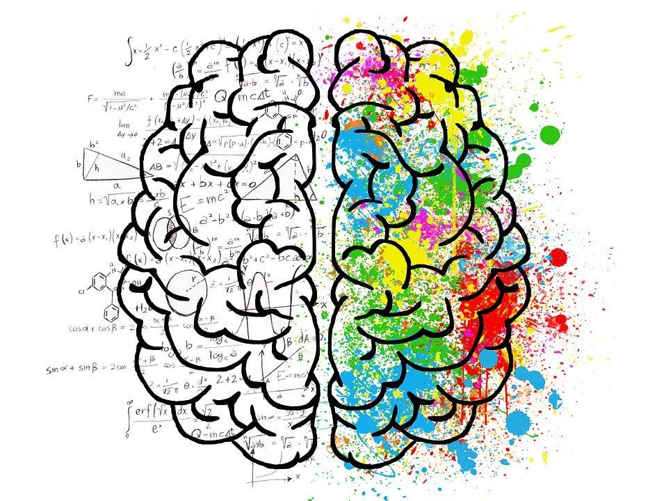 Brain, Mind, Psychology, Idea, Drawing