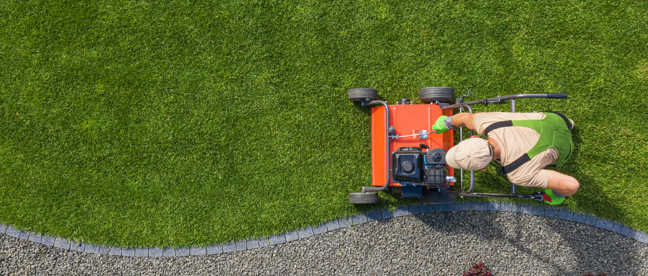 Lawn Maintenance Tips – How to Keep Weeds and Pests Under Control